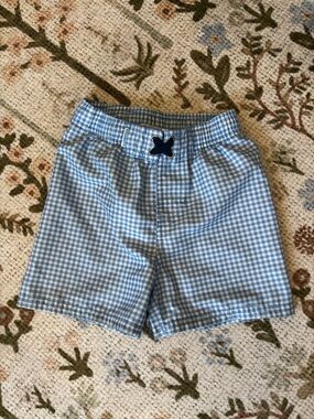 Rugged Butts Blue Gingham Swim Trunks